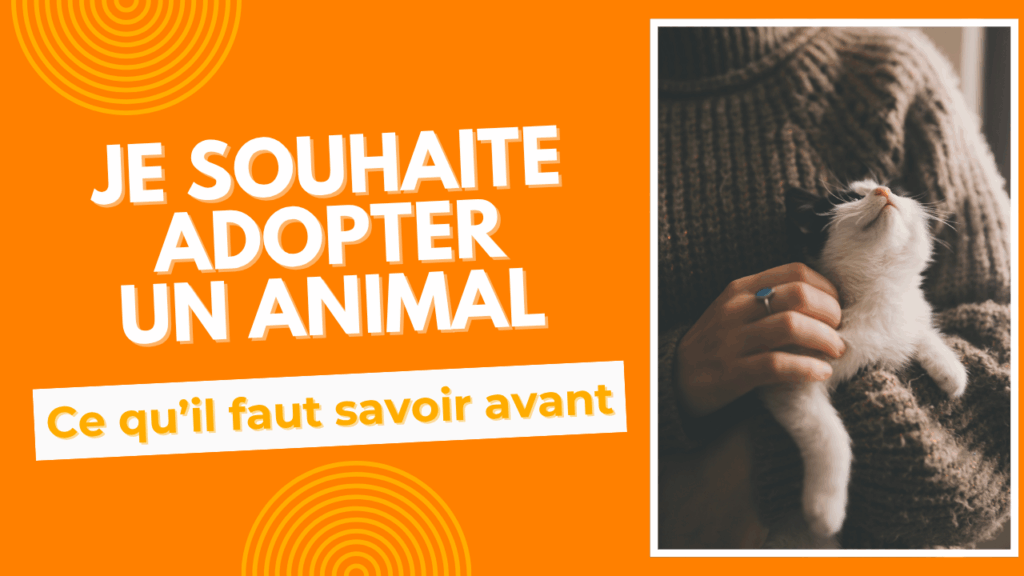 je souhaite adopter un animal